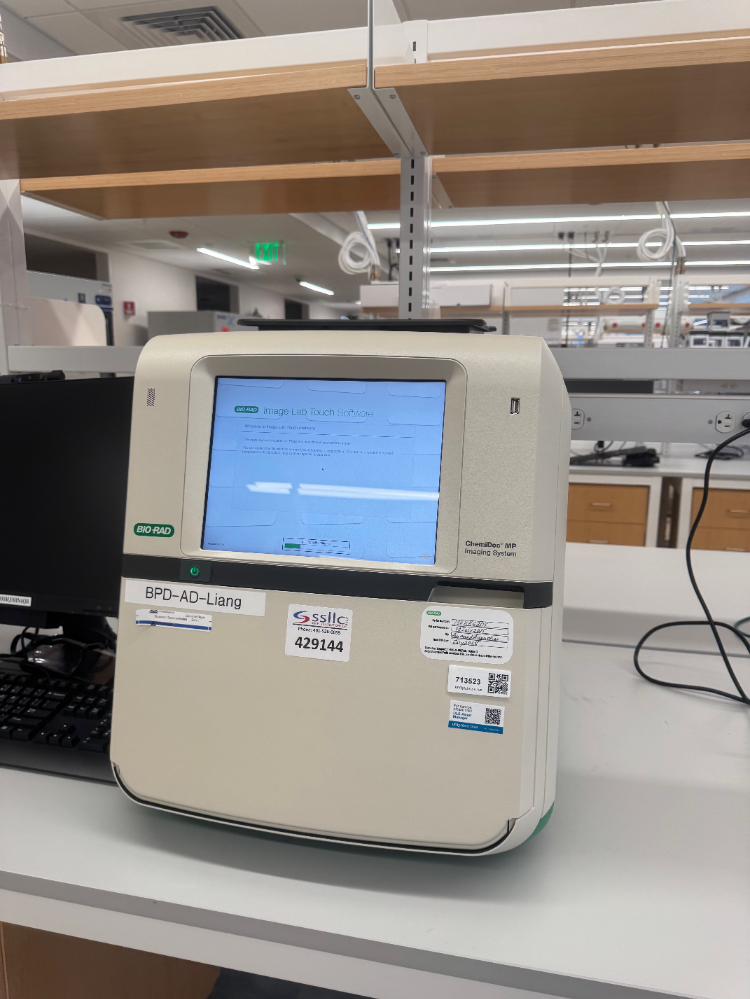 Image of BioRad ChemiDoc MP Imaging System